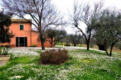 giardino-divinamore12
