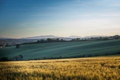 veduta della campagna